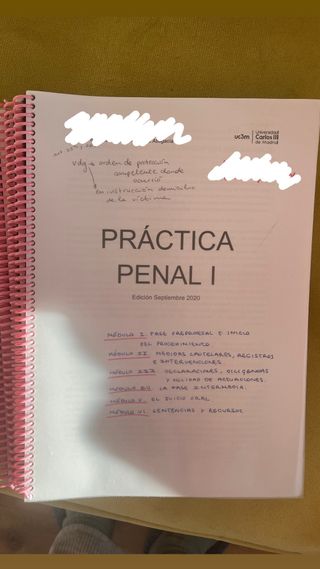 Apuntes Practica Penal Master Abogacia UC3M