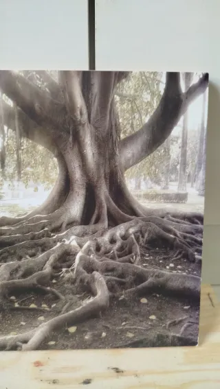 Quadretto Paesaggio Albero Radici