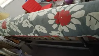 Sofá Cama Gris con Flores Rojas