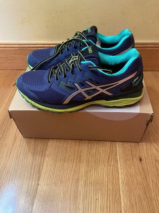 Zapatillas Asics GT 2000 4 Gore-Tex Talla 42.5