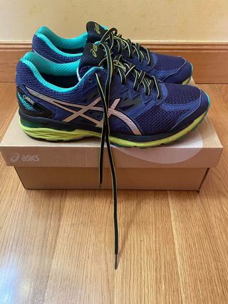 Zapatillas Asics GT 2000 4 Gore-Tex Talla 42.5