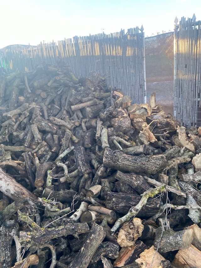 Leña seca para chimenea  De olivo