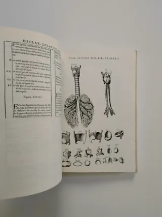 Historia de la composición del cuerpo humano