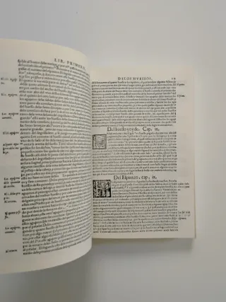 Historia de la composición del cuerpo humano