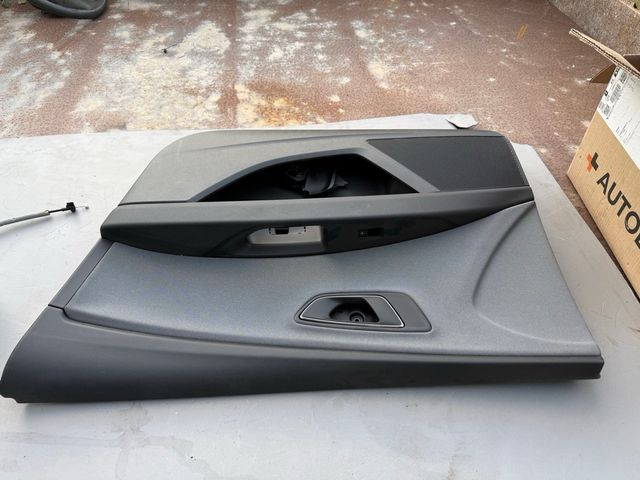 Panel Puerta Delantera Derecha Seat