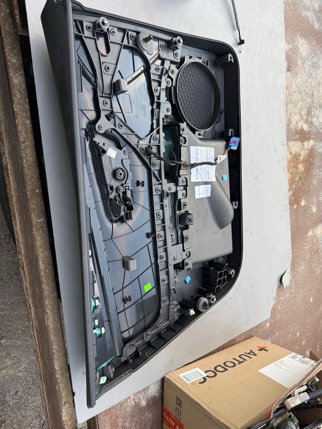 Panel Puerta Delantera Derecha Seat