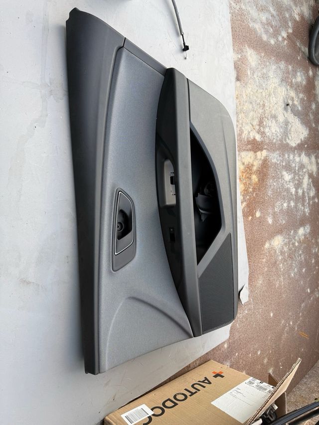 Panel Puerta Delantera Derecha Seat