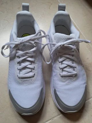 Zapatillas Nike Blancas y Plateadas