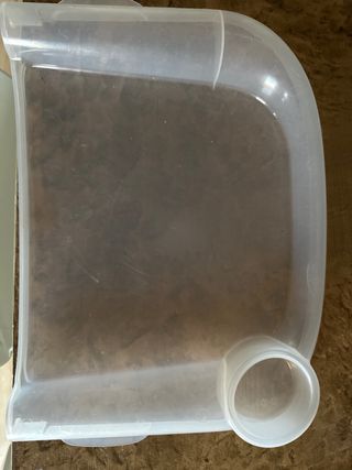 Asiento de mesa Inglesina + bandeja