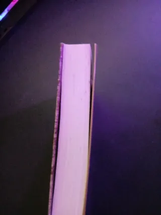 PREMIO EDEBÉ 2015: Mentira (Spanish Edition)