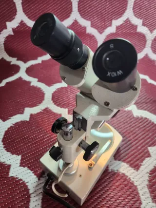 Microscopio Estereoscópico Usado