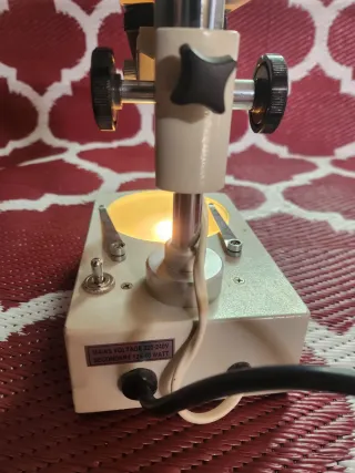 Microscopio Estereoscópico Usado