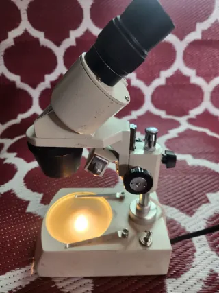 Microscopio Estereoscópico Usado