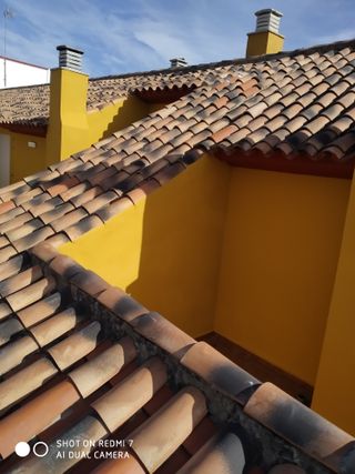 Trabajos verticales  fachadas  e interiores