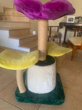 Tiragraffi per gatti quasi nuovi