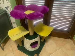 Tiragraffi per gatti quasi nuovi