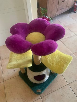 Tiragraffi per gatti quasi nuovi