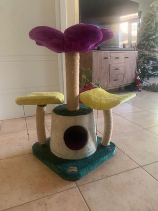 Tiragraffi per gatti quasi nuovi