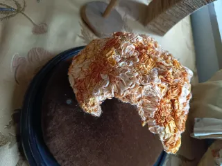 Tocado vintage Naranja y Beige