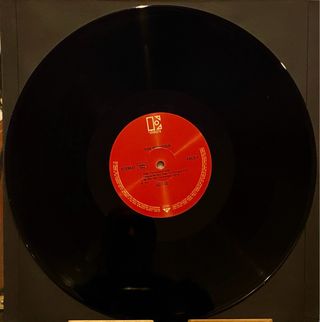 The Stooges LP Punk Rock