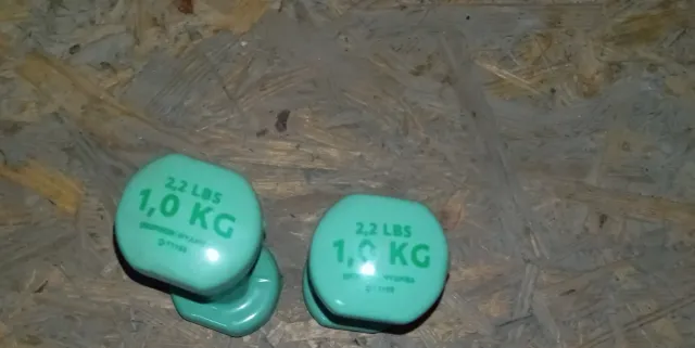 Coppia manubri verdi