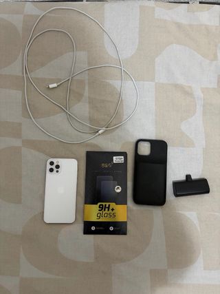 iPhone 12 Pro Argento