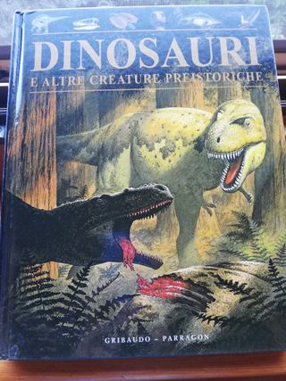 Lotto libri per ragazzi