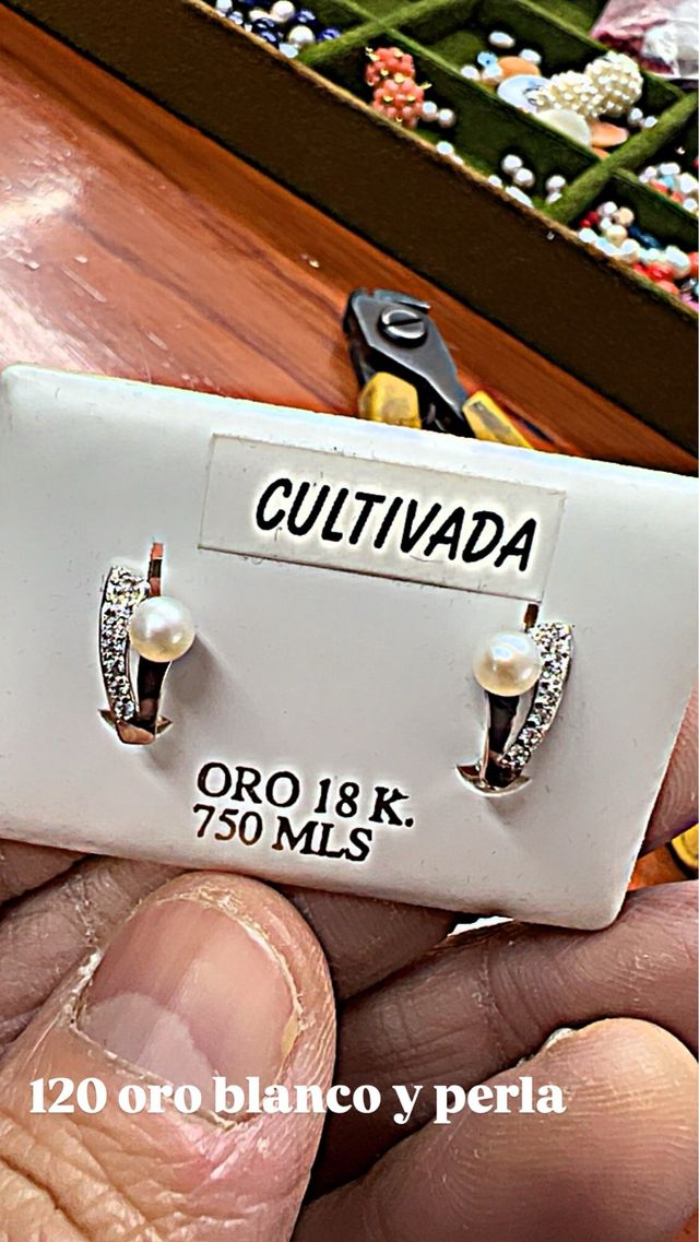 Brincos de Ouro Branco 18k com Pérola Cultivada