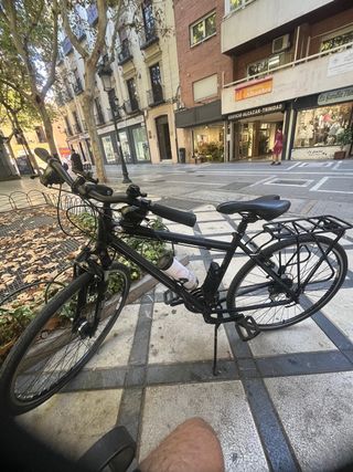 Bicicleta Paseo Gudereit LC15