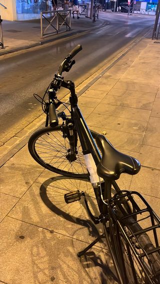 Bicicleta Paseo Gudereit LC15