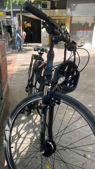 Bicicleta Paseo Gudereit LC15