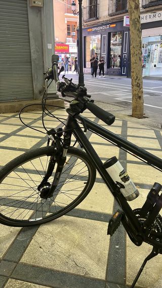 Bicicleta Paseo Gudereit LC15
