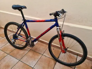 Bicicleta Gary Fisher Big Sur