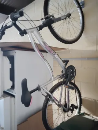 Dos Bicicletas de montaña plateada