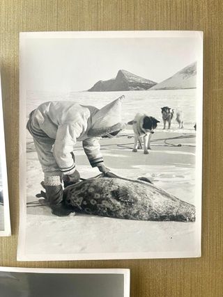 FOTOGRAFÍAS VINTAGE EN BLANCO Y NEGRO.