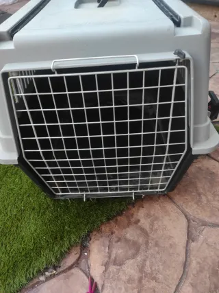 Transporting grande para mascotas