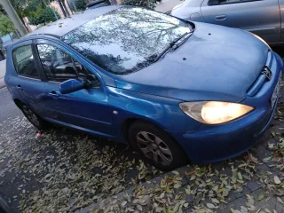 Peugeot 307 2002