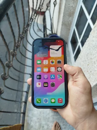 iPhone 12 Pro Max 256GB