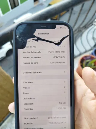 iPhone 12 Pro Max 256GB