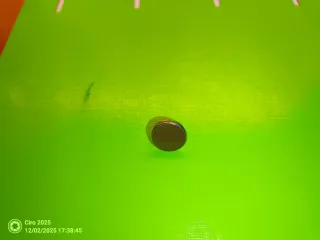 3-Collar y 4-anillos de cuentas