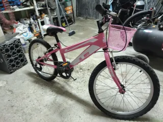 Bicicleta niña rosa 20 pulgadas