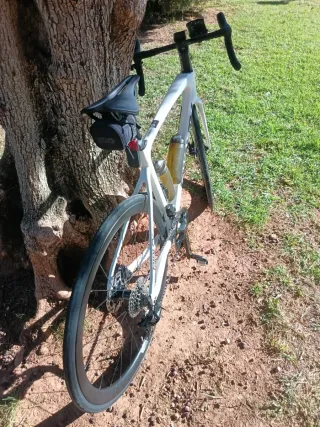 Ridley Fenix 2025 S Carbono Electrónica