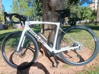 Ridley Fenix 2025 S Carbono Electrónica