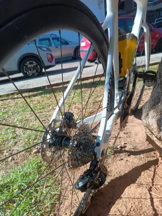 Ridley Fenix 2025 S Carbono Electrónica