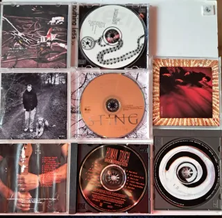 Cds Springsteen Sting Crowded house Krezip