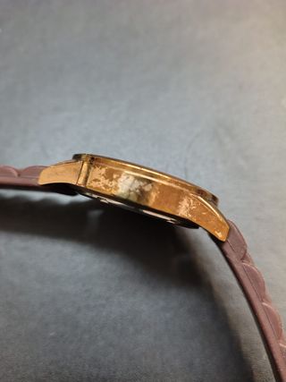 Reloj Viceroy Mujer Marrón y Dorado