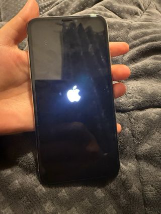 iPhone XS tutto funziona molto bene