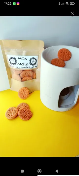 Galletas María Wax Melts
