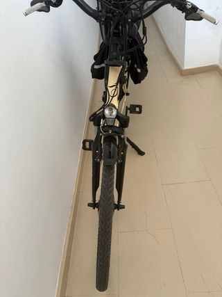 bicicleta eléctrica