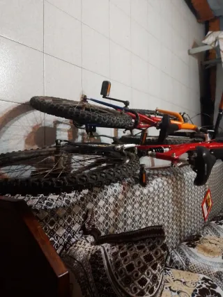 2 Bicicletas montaña